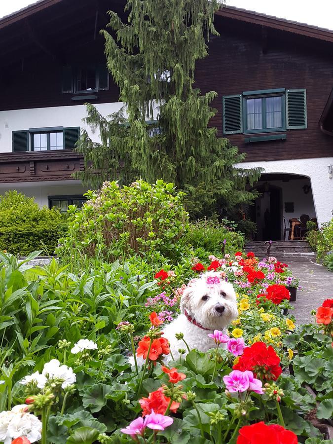 Haus Am Moos Bed & Breakfast Залцбург Екстериор снимка
